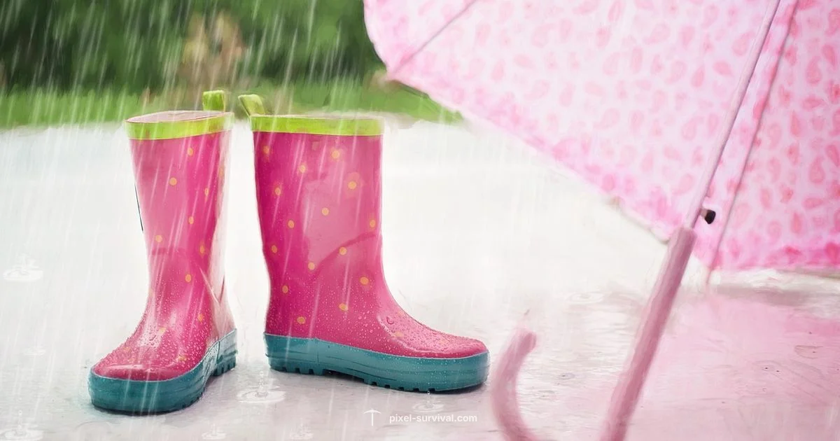 Rain Myth Debunked - Pixel Survival