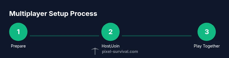 Infographic showing Terraria multiplayer setup steps