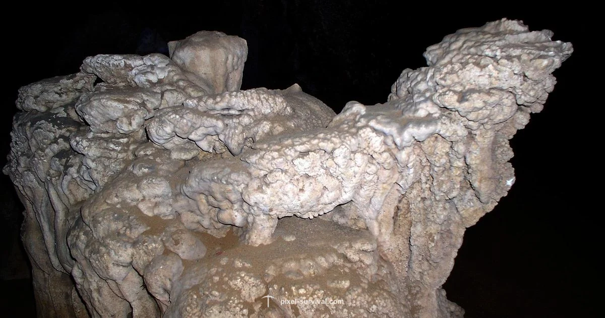 Top 2025 Picks - Pixel Survival