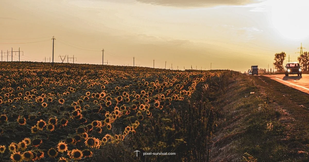 NPC Happiness Guide NPC Happiness Guide - Pixel Survival