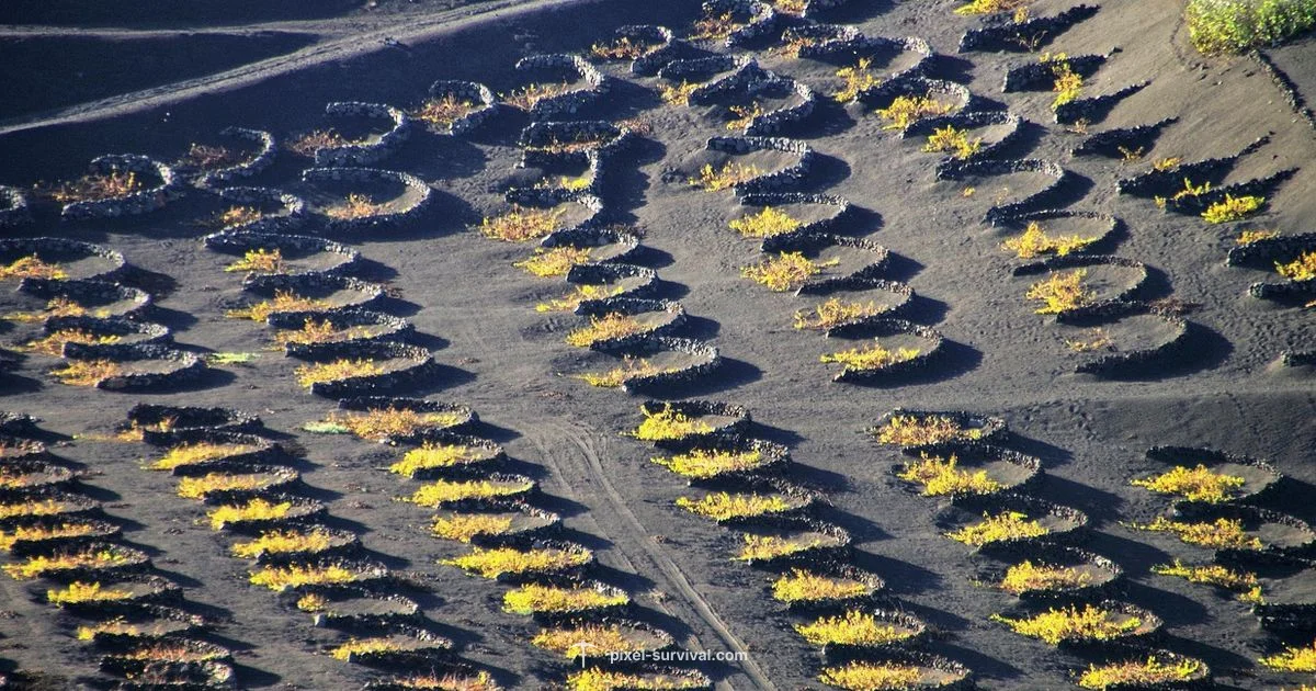 Lava Fishing Guide Lava Fishing Guide - Pixel Survival