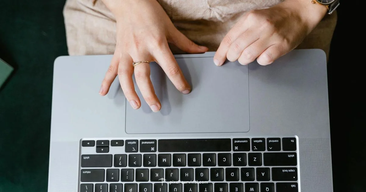 Trackpad Terraria Guide - Pixel Survival