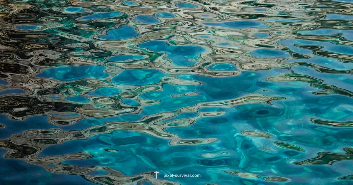 Shimmer Find Guide Shimmer Find Guide - Pixel Survival