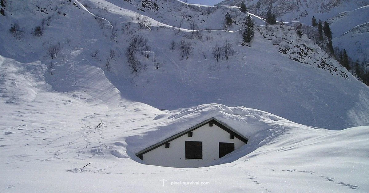 Snow Biome Build Snow Biome Build - Pixel Survival