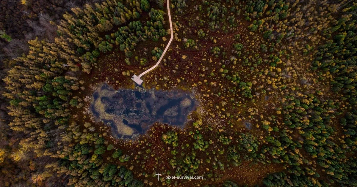 Biome Identification Guide - Pixel Survival