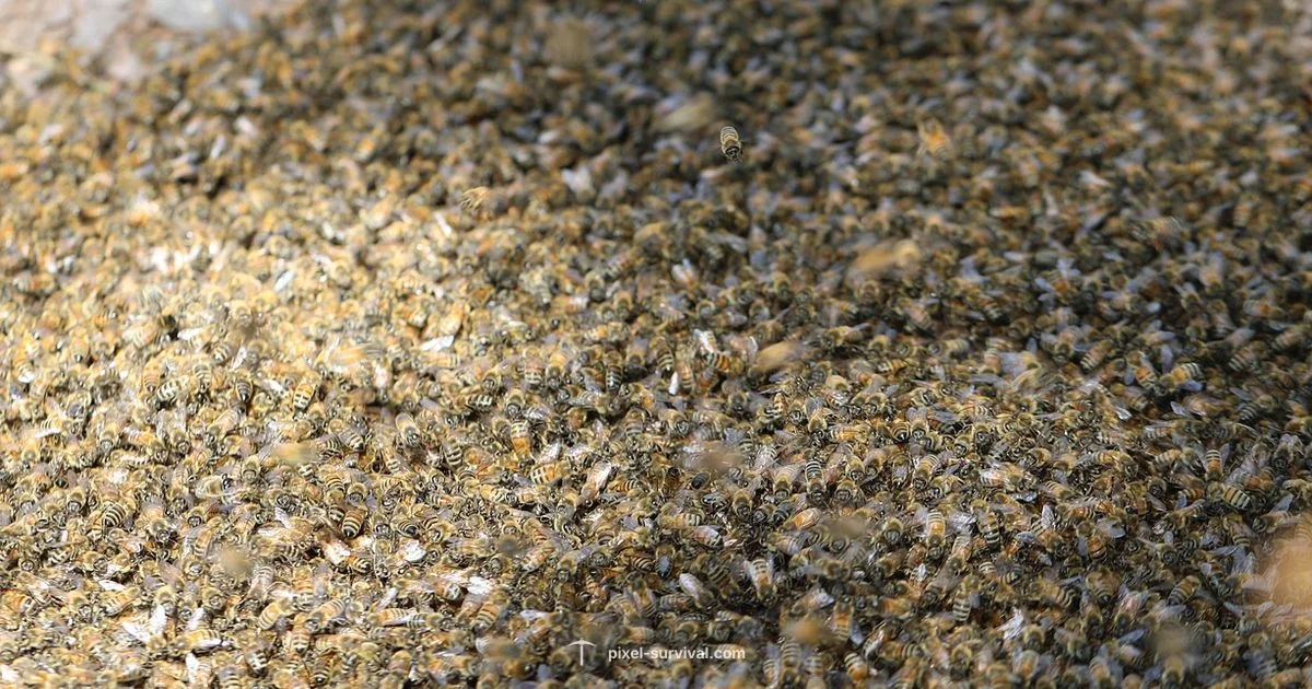 Terraria Bees - Pixel Survival