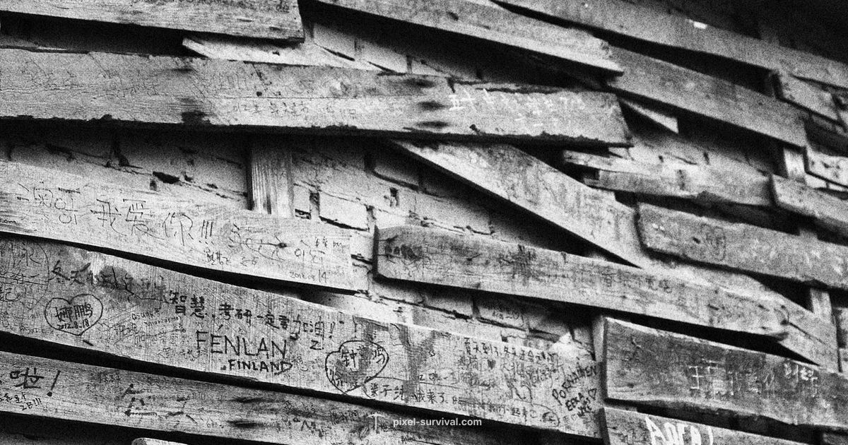 Wood Wall Removal - Pixel Survival