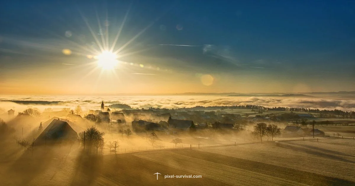 NPC Move-In Check NPC Move-In Check - Pixel Survival