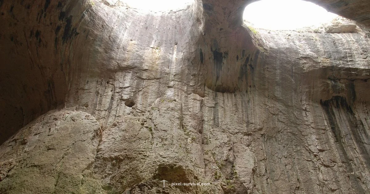 Terraria Release Timeline - Pixel Survival