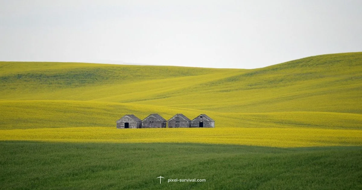 Terraria Autosave Basics - Pixel Survival