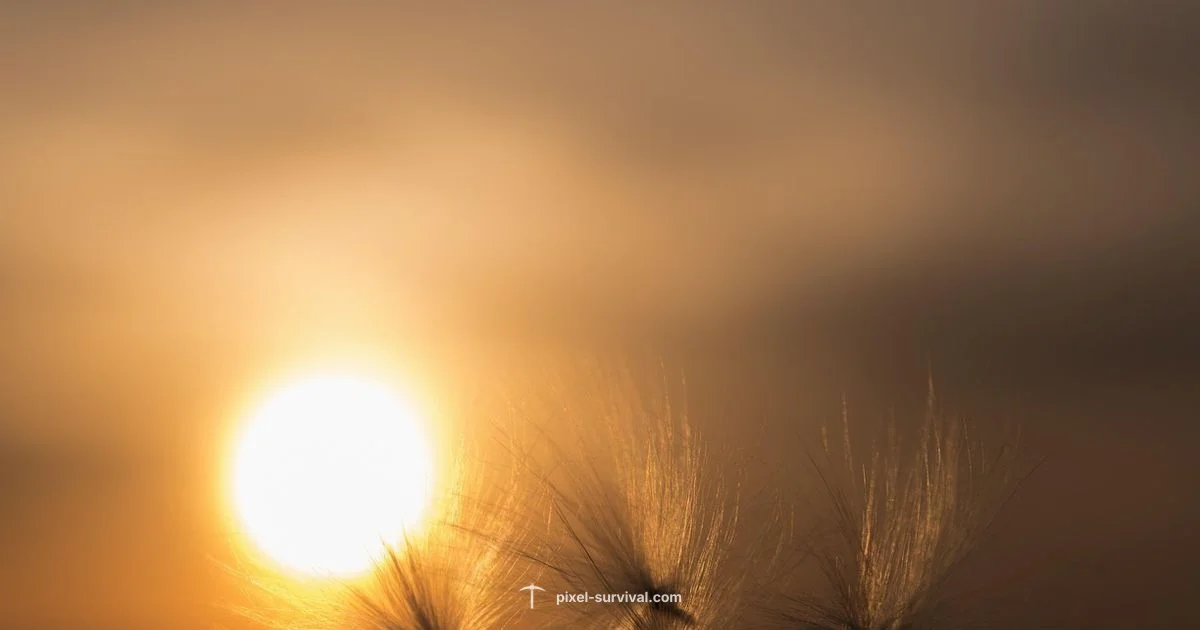 0% Corruption Run - Pixel Survival