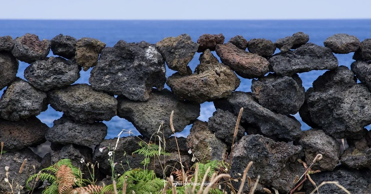 Blocks Guide - Pixel Survival