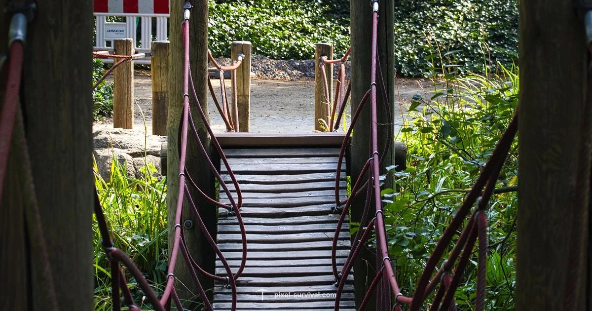 Bridge Techniques - Pixel Survival