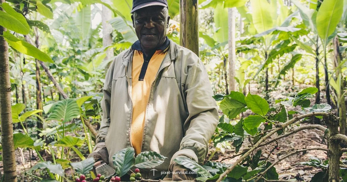 Feral Claws Guide - Pixel Survival