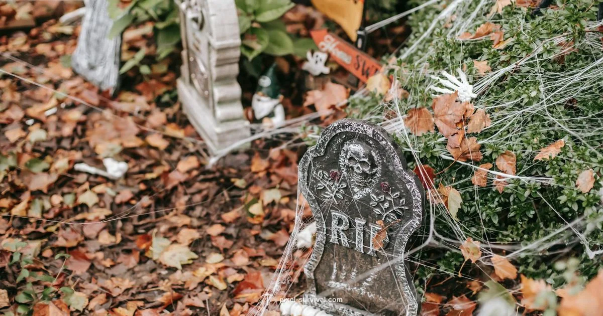 Hallow Biome Basics Hallow Biome Basics - Pixel Survival