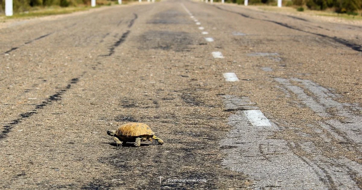 Turtle Armor Guide - Pixel Survival