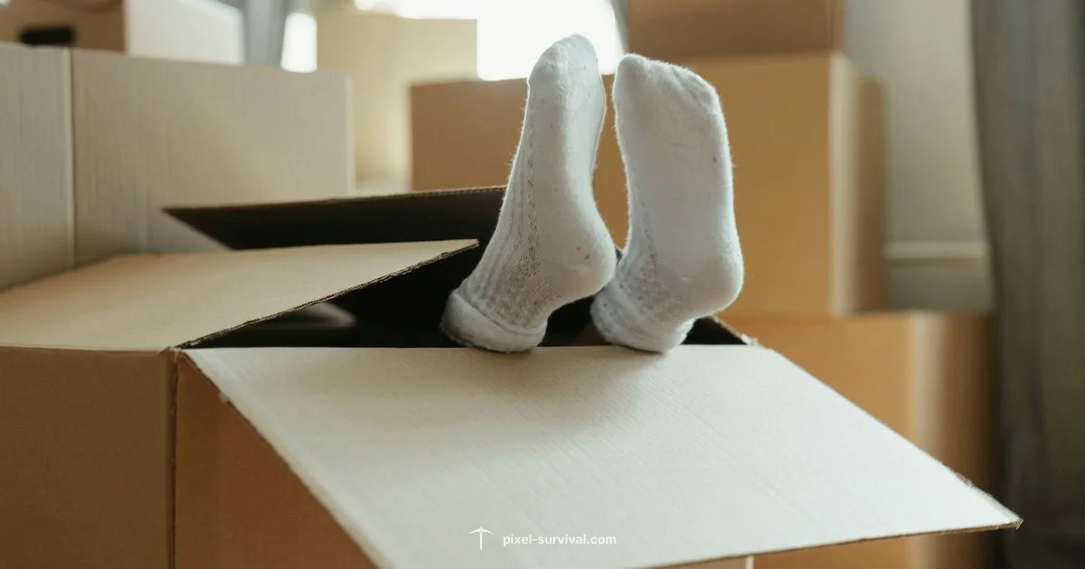 NPC Relocation Guide - Pixel Survival