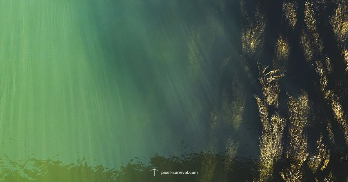 Grass Sword Guide - Pixel Survival