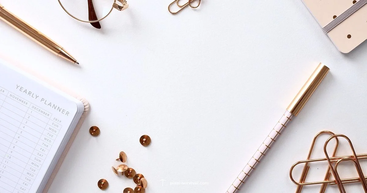 Name Origins Name Origins - Pixel Survival