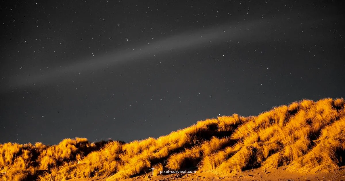 Star Farming Night - Pixel Survival