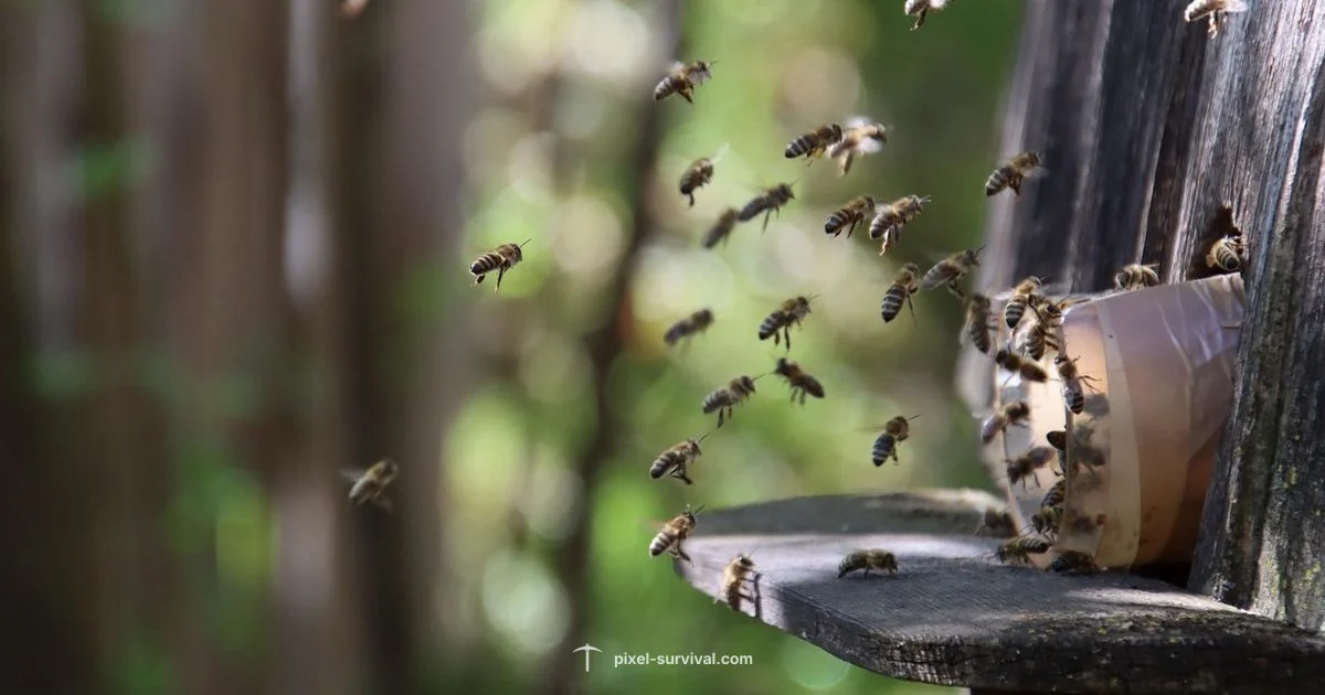 Bee Knees Terraria - Pixel Survival