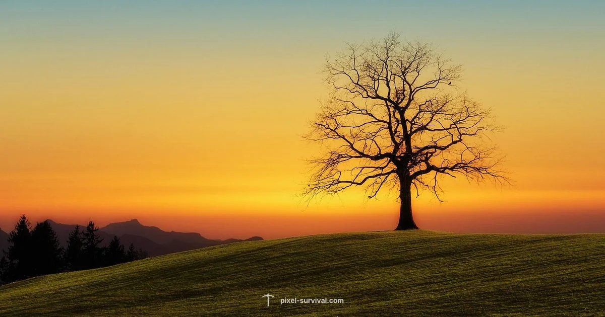 Day-Night Cycle - Pixel Survival