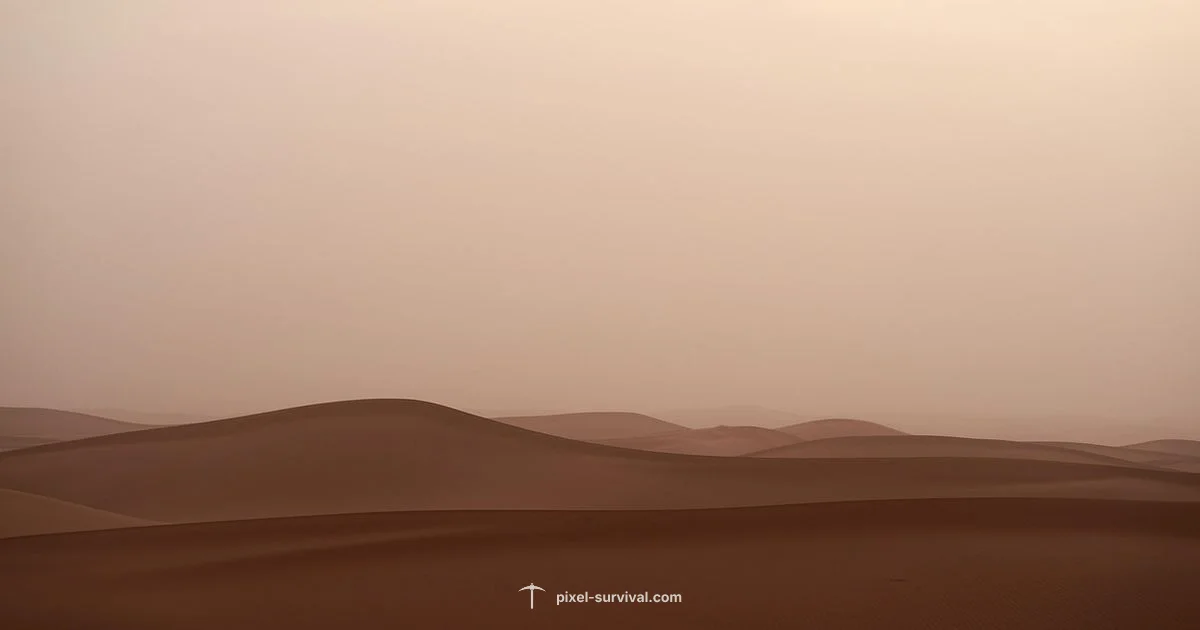 Sandstorms in Terraria - Pixel Survival