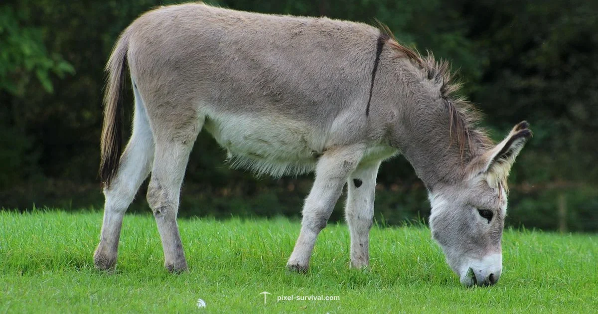 Terraria x Stardew Crossover - Pixel Survival