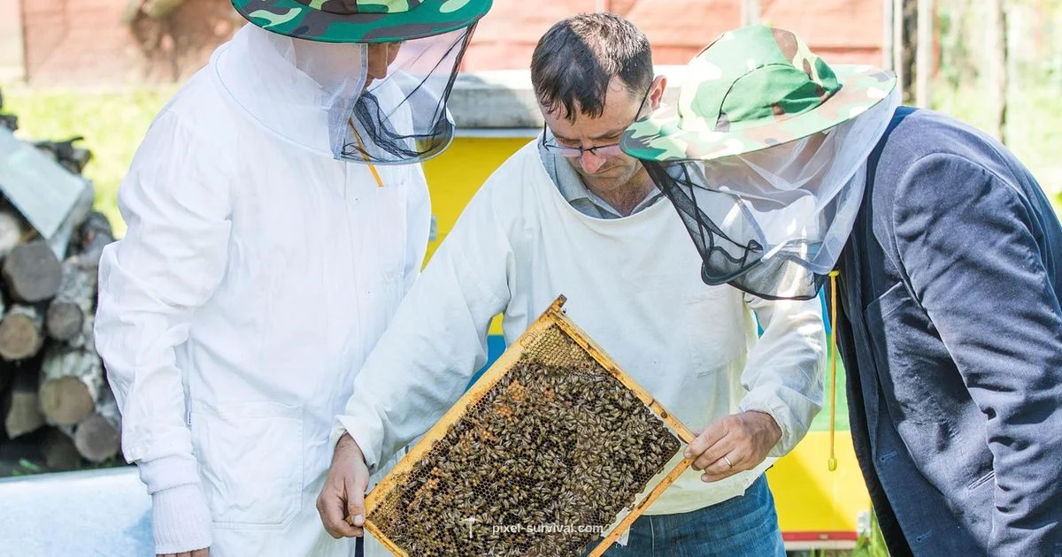 Queen Bee Boss Fight - Pixel Survival