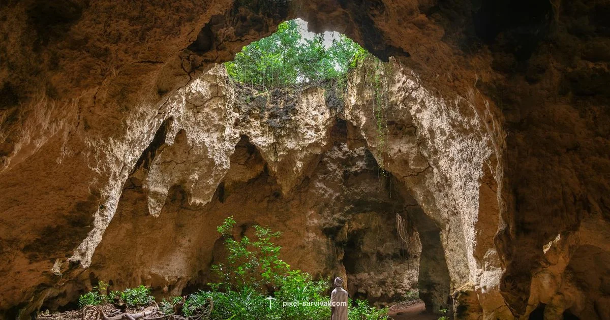 Facing Betsy Boss - Pixel Survival