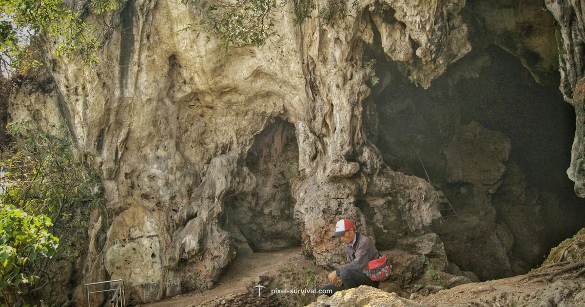 Terraria World Progression - Pixel Survival