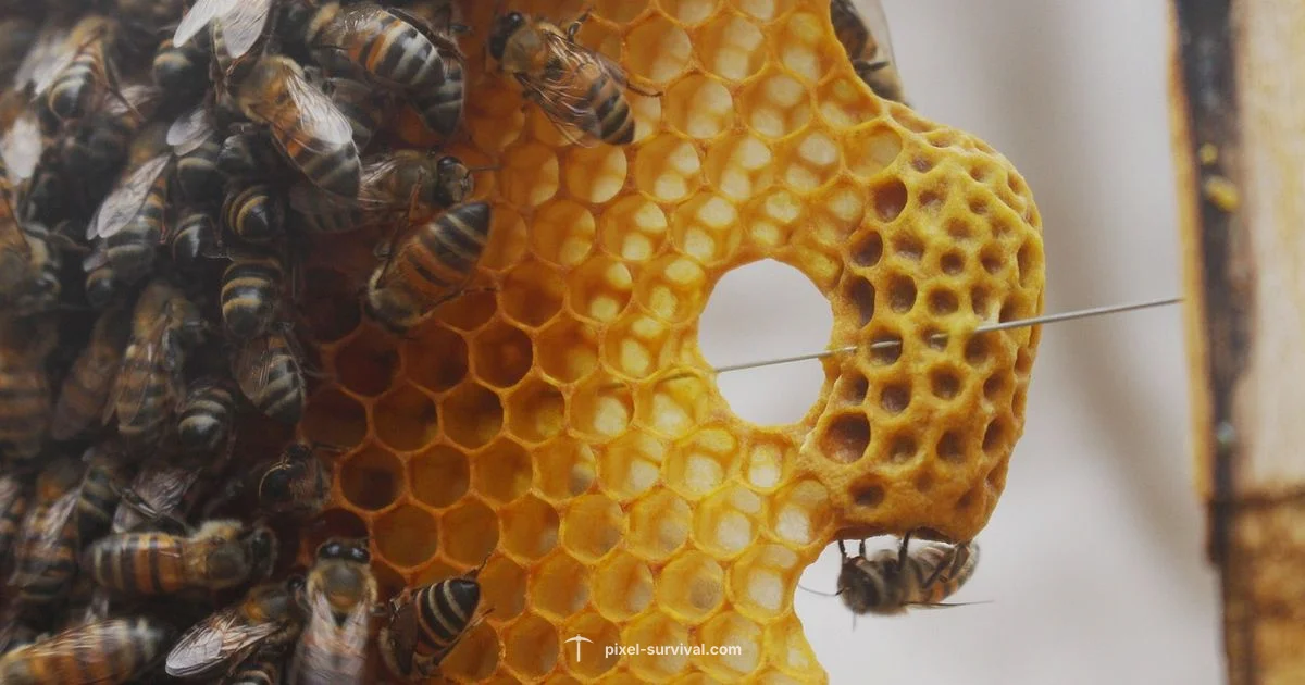 Queen Bee Boss - Pixel Survival