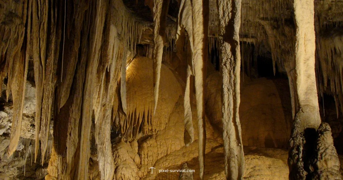 Beginner Terraria Guide - Pixel Survival