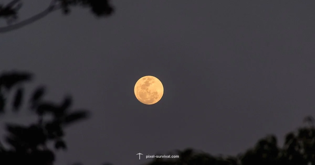 Terraria Moon Guide - Pixel Survival