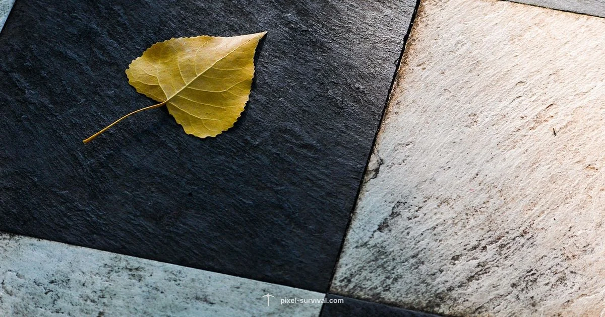 Fallen Stars Guide - Pixel Survival