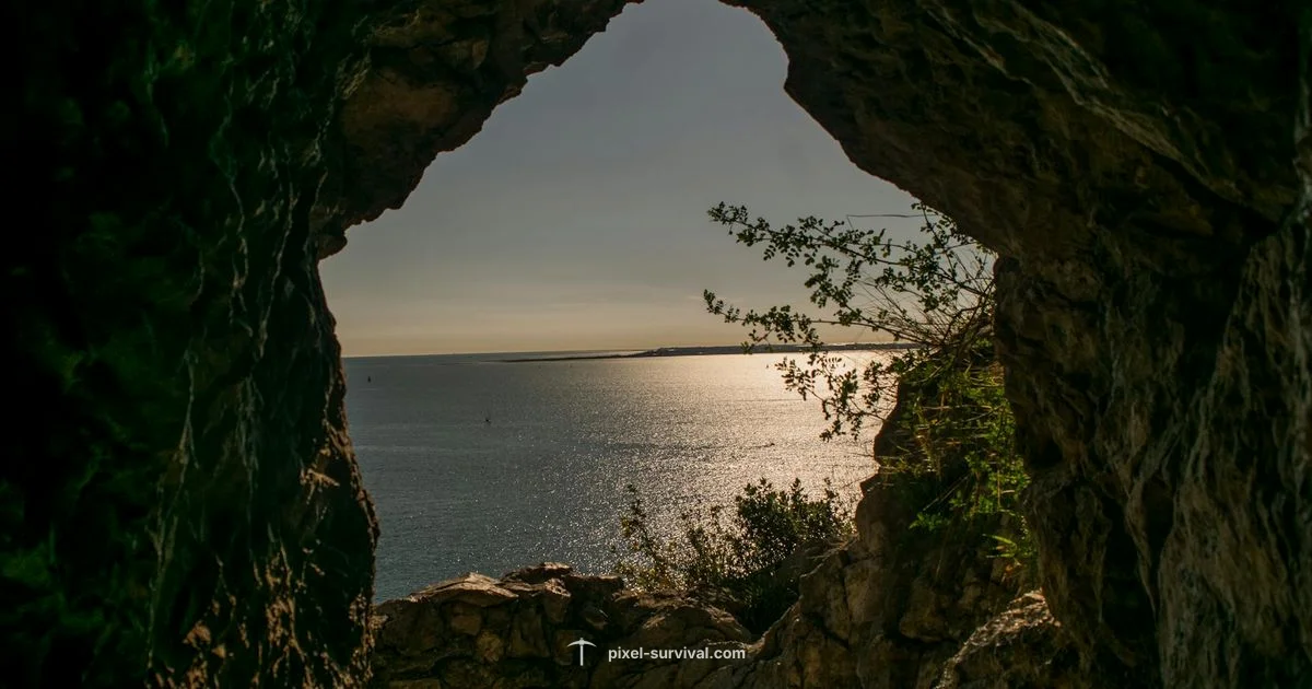 Terraria Together Guide - Pixel Survival