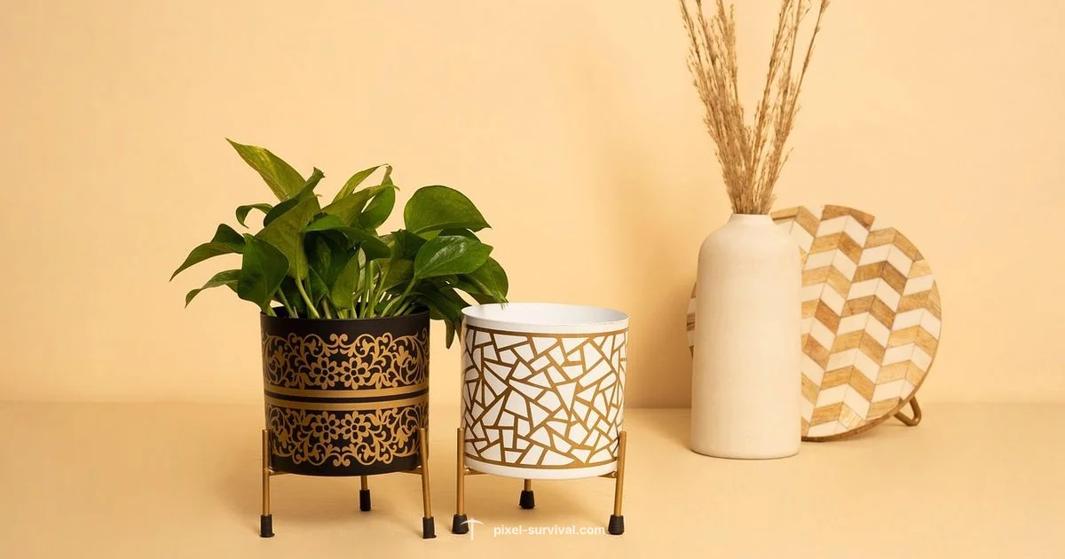 Planter Box Guide Planter Box Guide - Pixel Survival