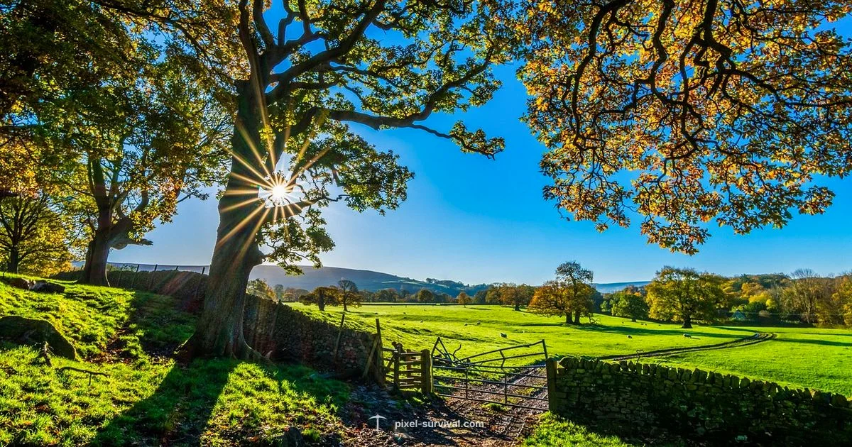 Terraria Farm Build - Pixel Survival