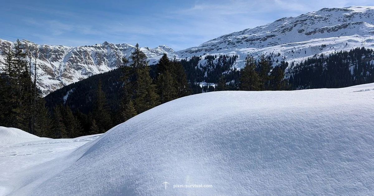 Frost Core Guide Frost Core Guide - Pixel Survival