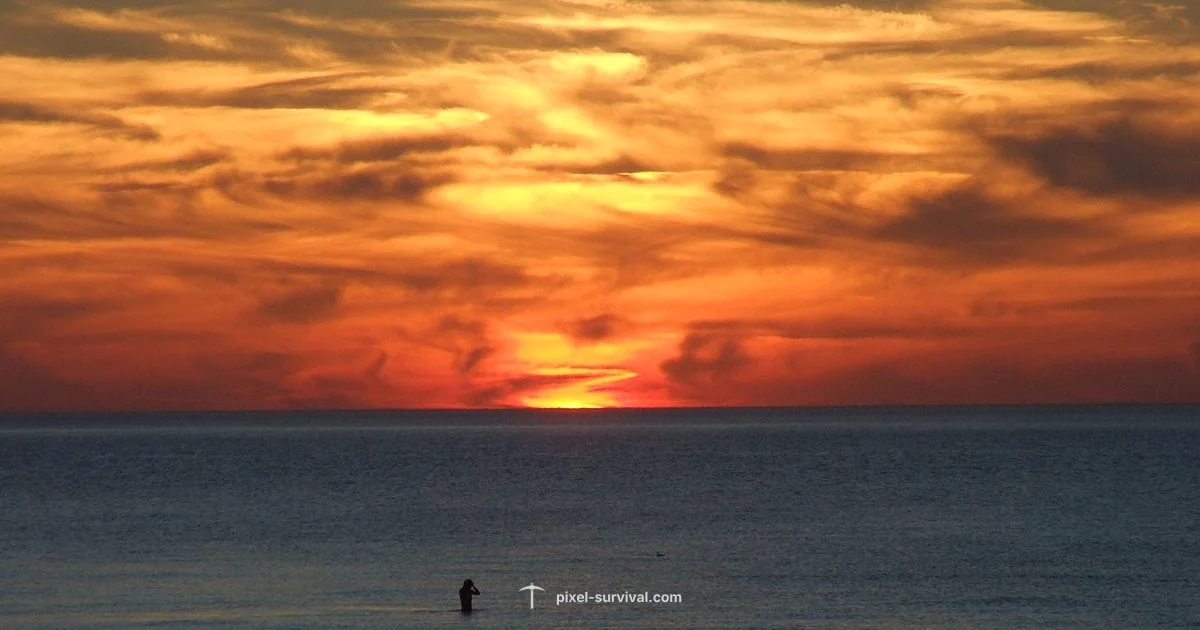 Master the Chaos - Pixel Survival