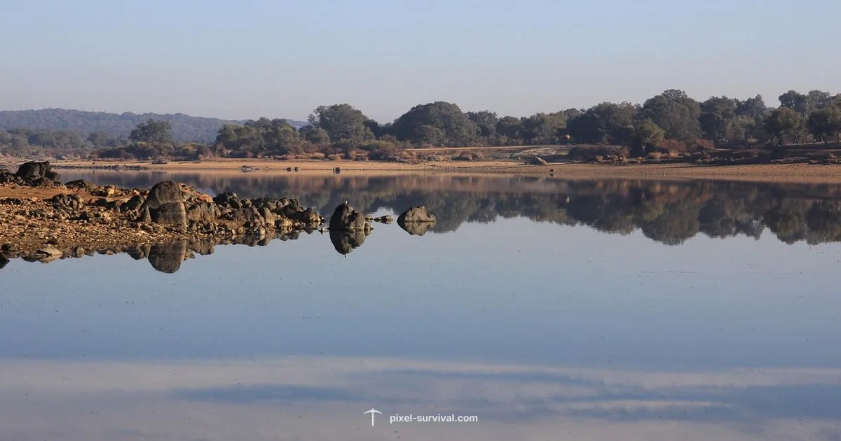 Magic Mirror Guide - Pixel Survival