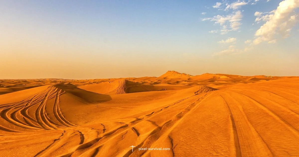 Desert Guide - Pixel Survival