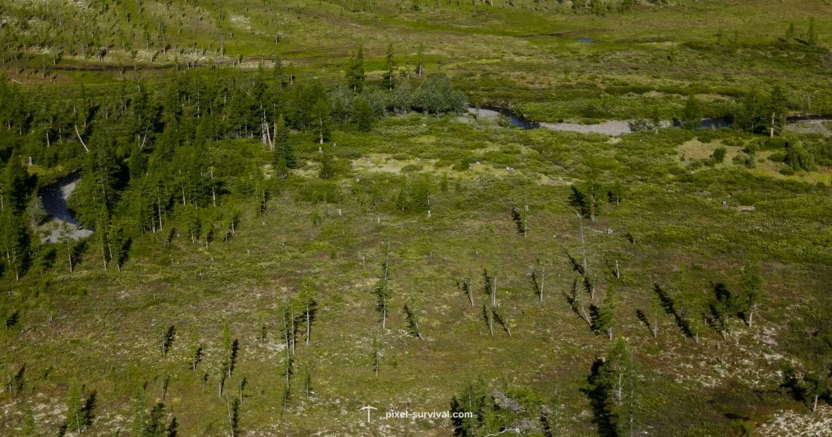 Biomes in Terraria - Pixel Survival