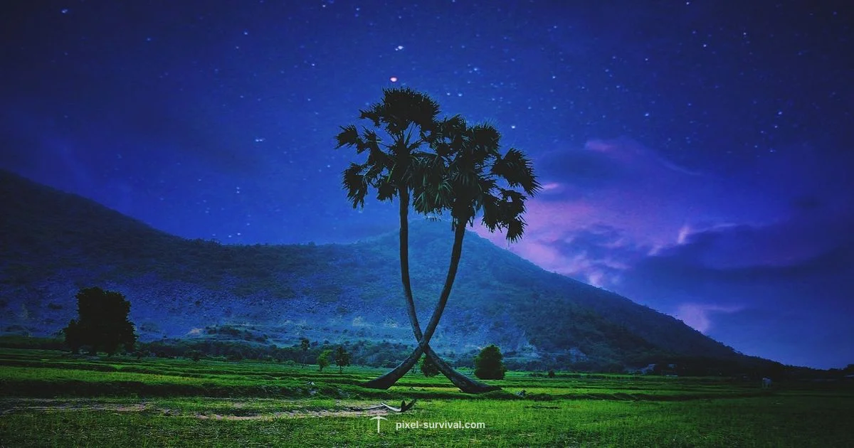 Souls of Night Guide - Pixel Survival