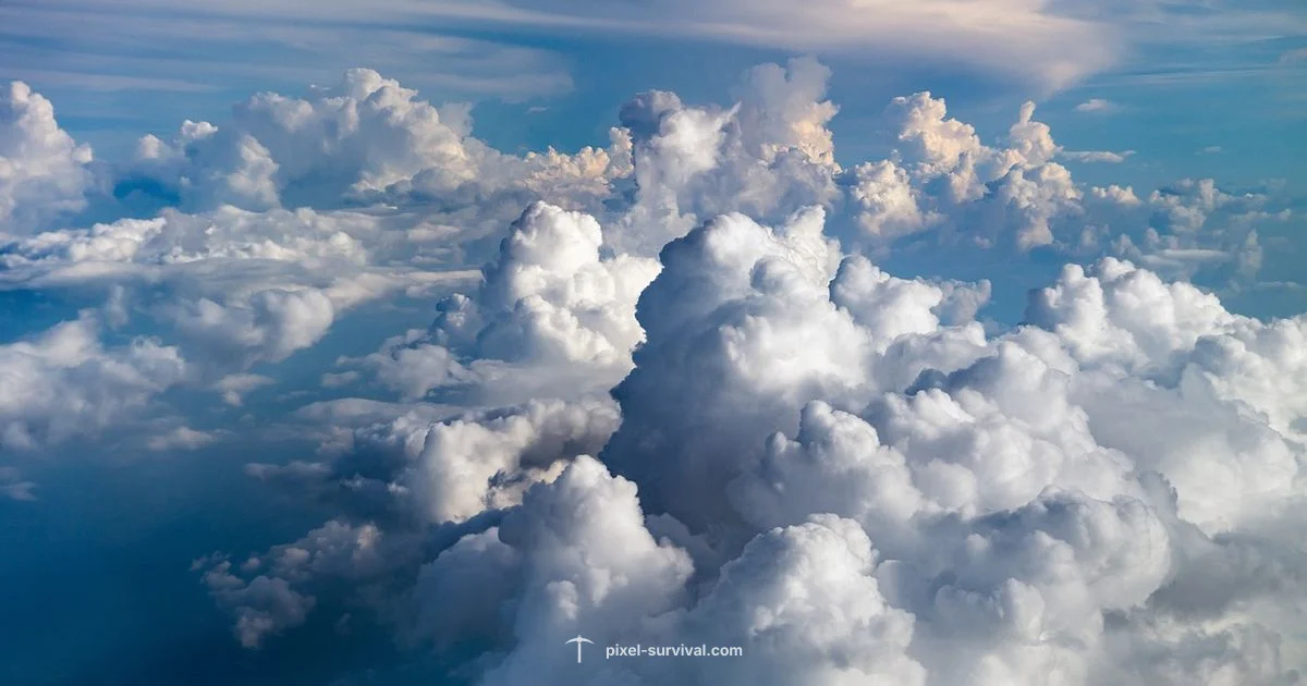 Fluffy Build Guide - Pixel Survival