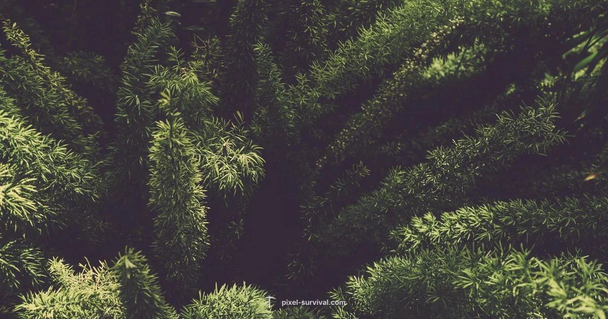 Terraria Gameplay Guide Terraria Gameplay Guide - Pixel Survival