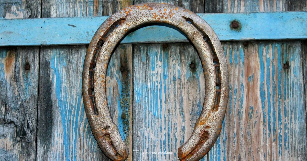 Horseshoe Guide - Pixel Survival