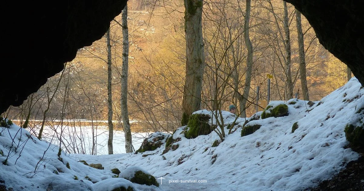 Beginner Progress Beginner Progress - Pixel Survival