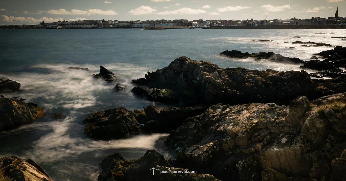 NPC Guide Essentials - Pixel Survival