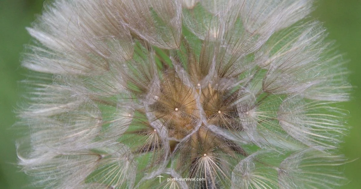 Best Terraria Seeds - Pixel Survival